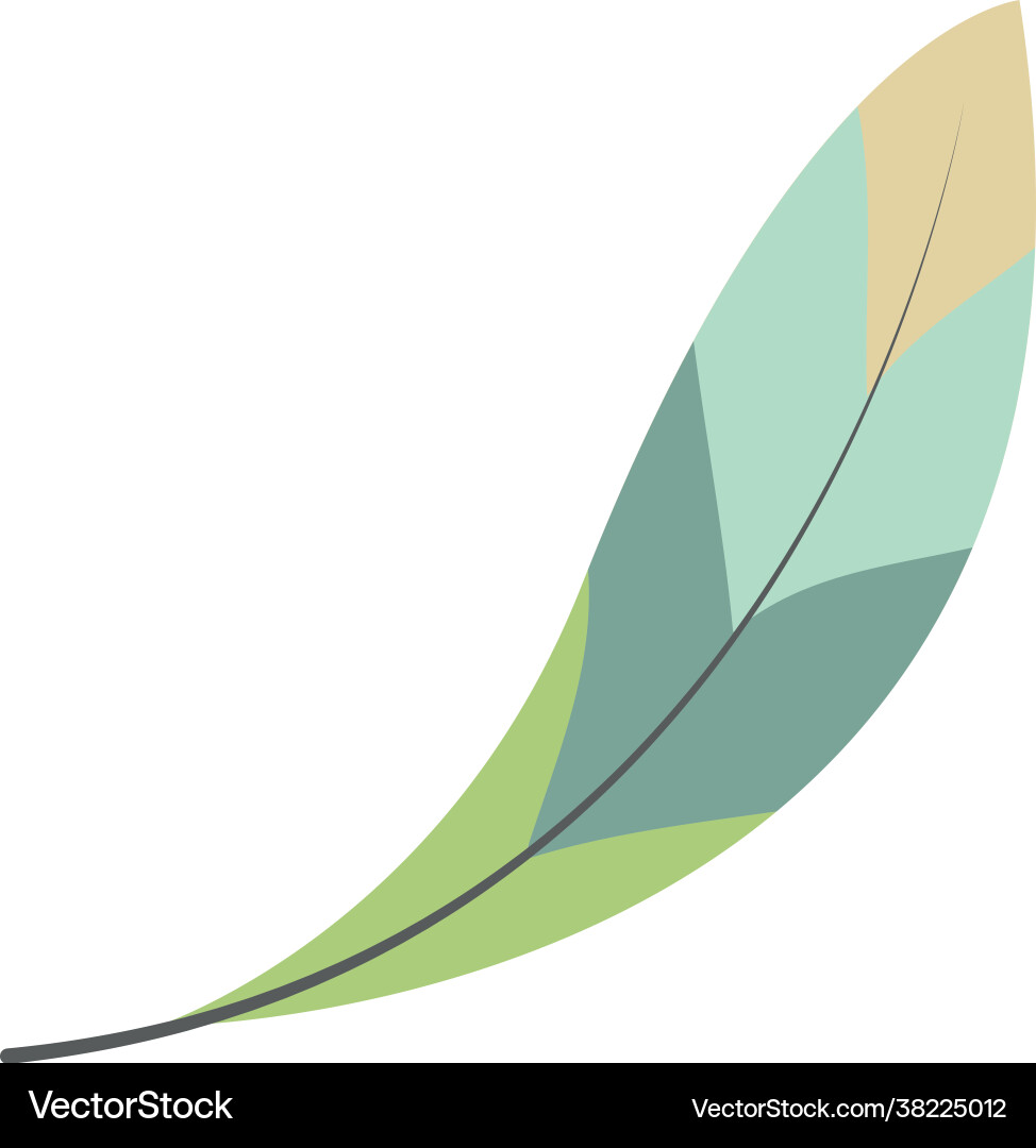 Boho feather representation Royalty Free Vector Image