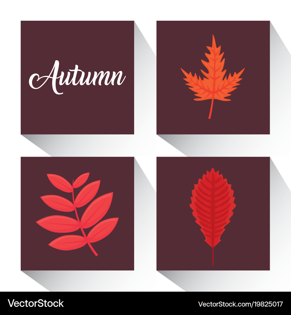 Autumn season design Royalty Free Vector Image