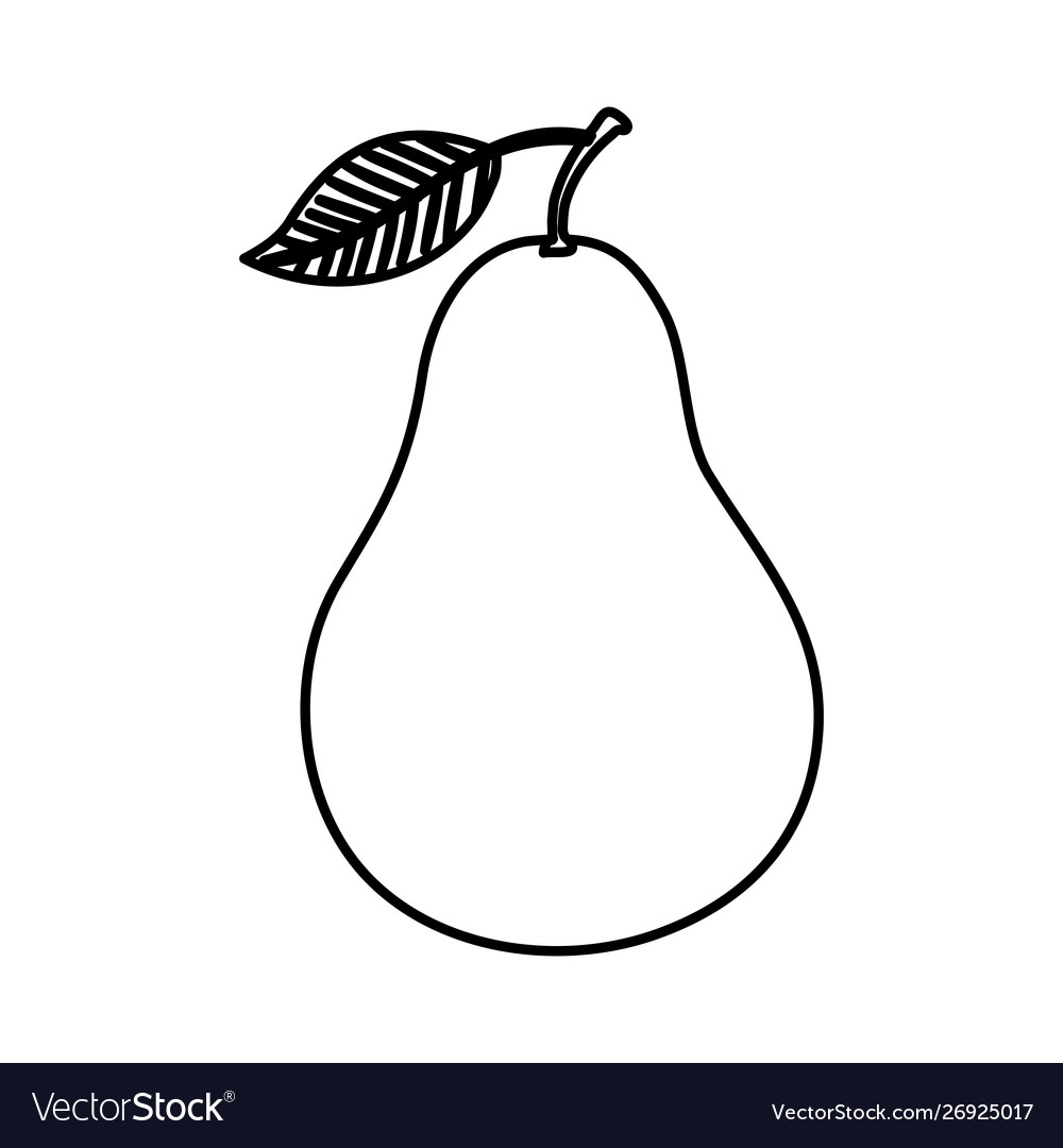 Fresh pear fruit nature icon