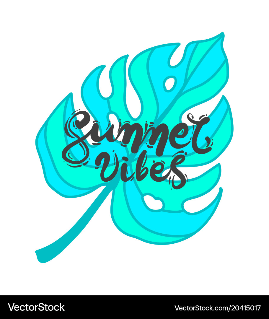 Lettering Quote Summer Vibes Royalty Free Vector Image