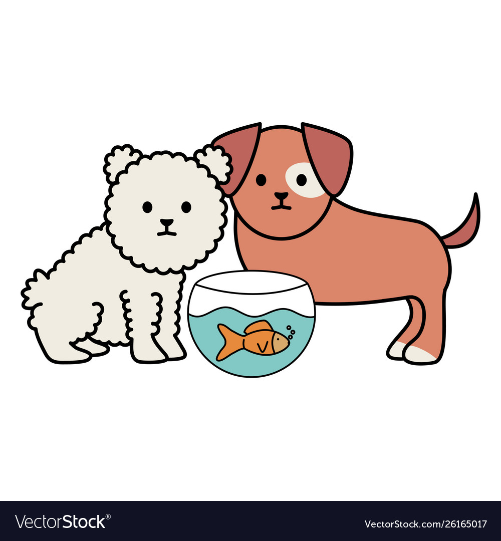 Little dogs adorable with fish in aquarium