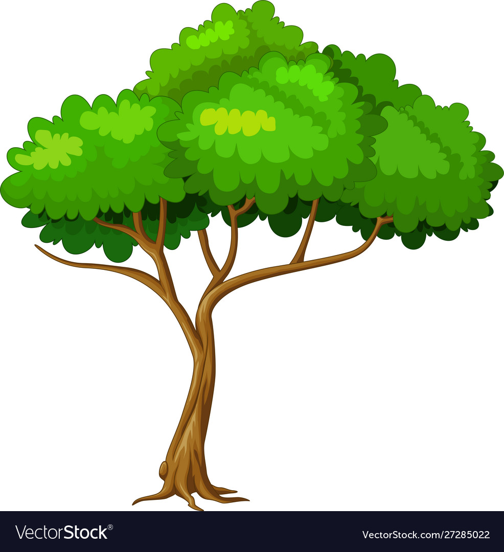 Cool tree cartoon Royalty Free Vector Image - VectorStock