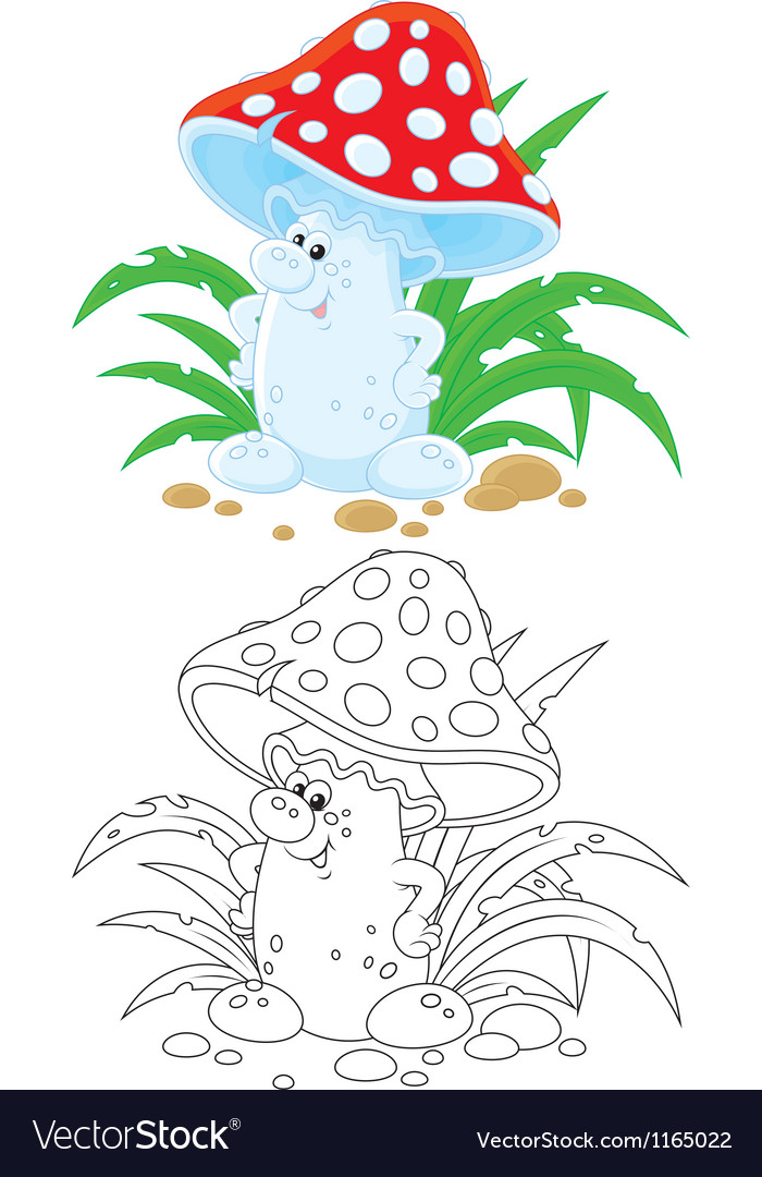 Fly agaric Royalty Free Vector Image - VectorStock