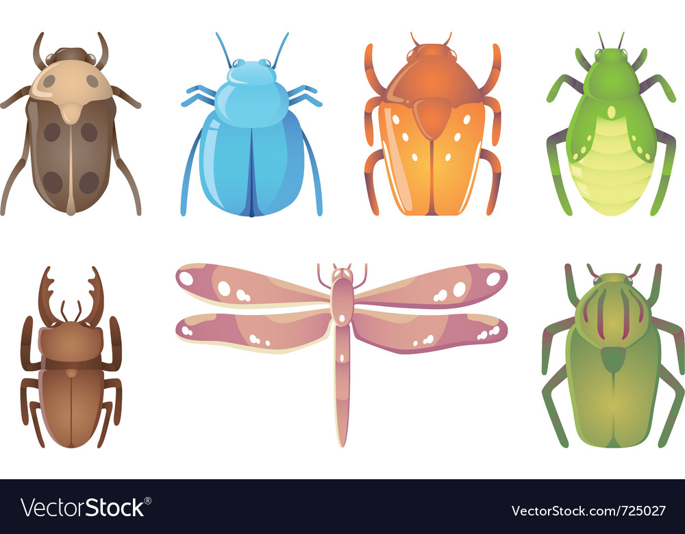 Bugs