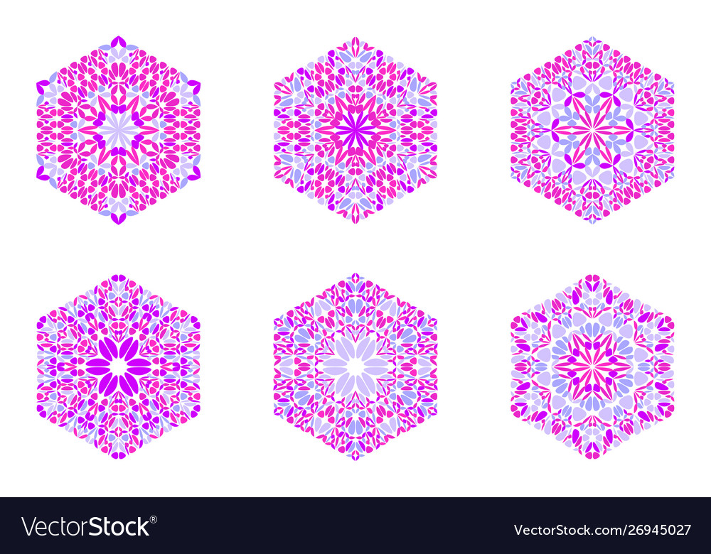 Ornate colorful geometrical flower hexagon