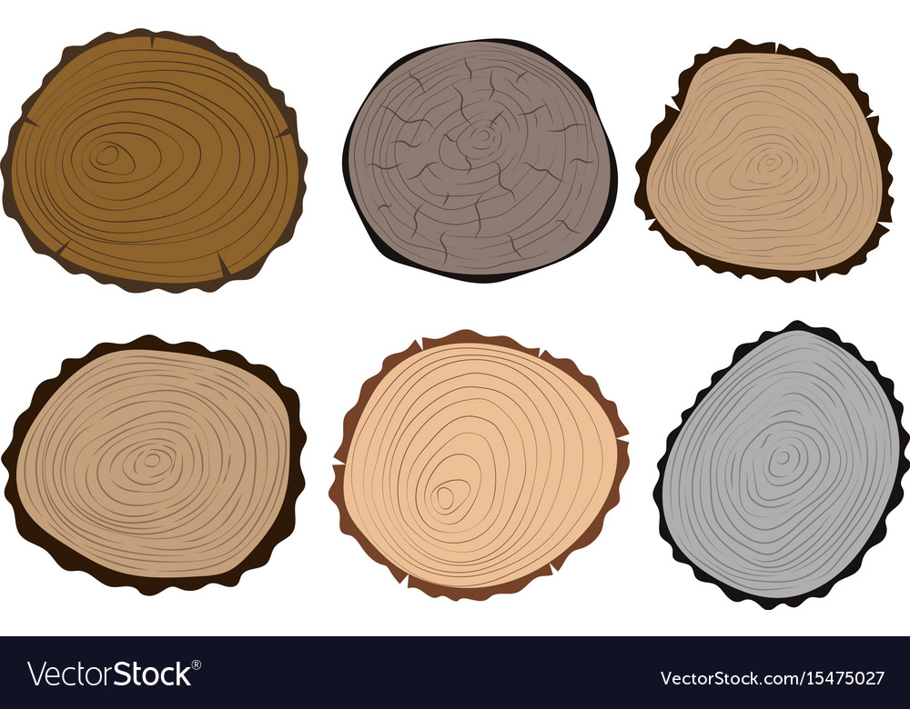 Holzschnitt Textur Baumkreis Schnitt Rohstoff