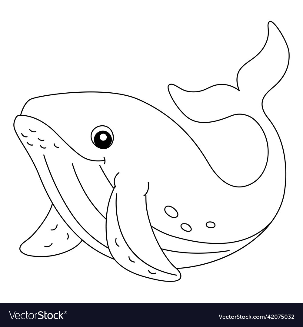 Humpback whale coloring page isolated for kids Vector Image