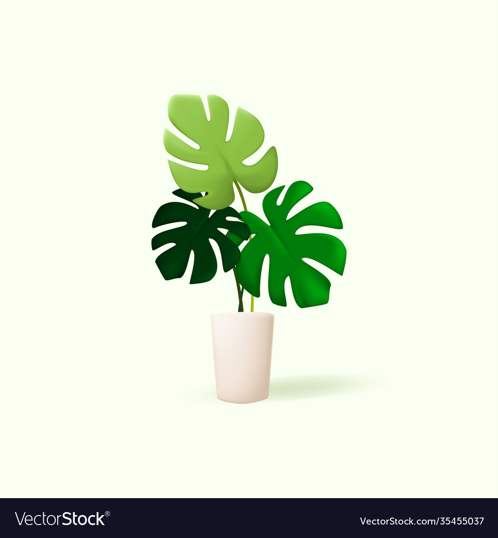 3d monstera plant design