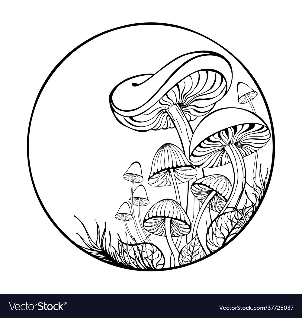 mushrooms-in-circle-royalty-free-vector-image-vectorstock