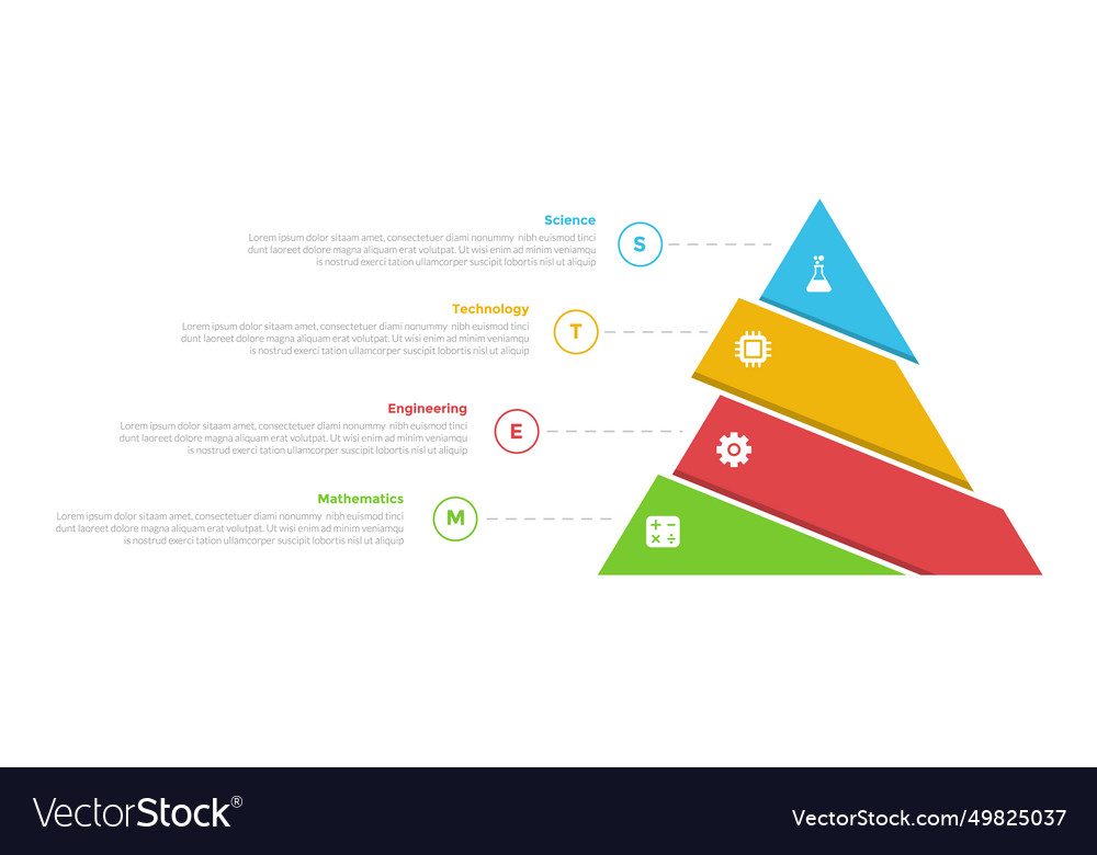 Stem education infographics template diagram Vector Image