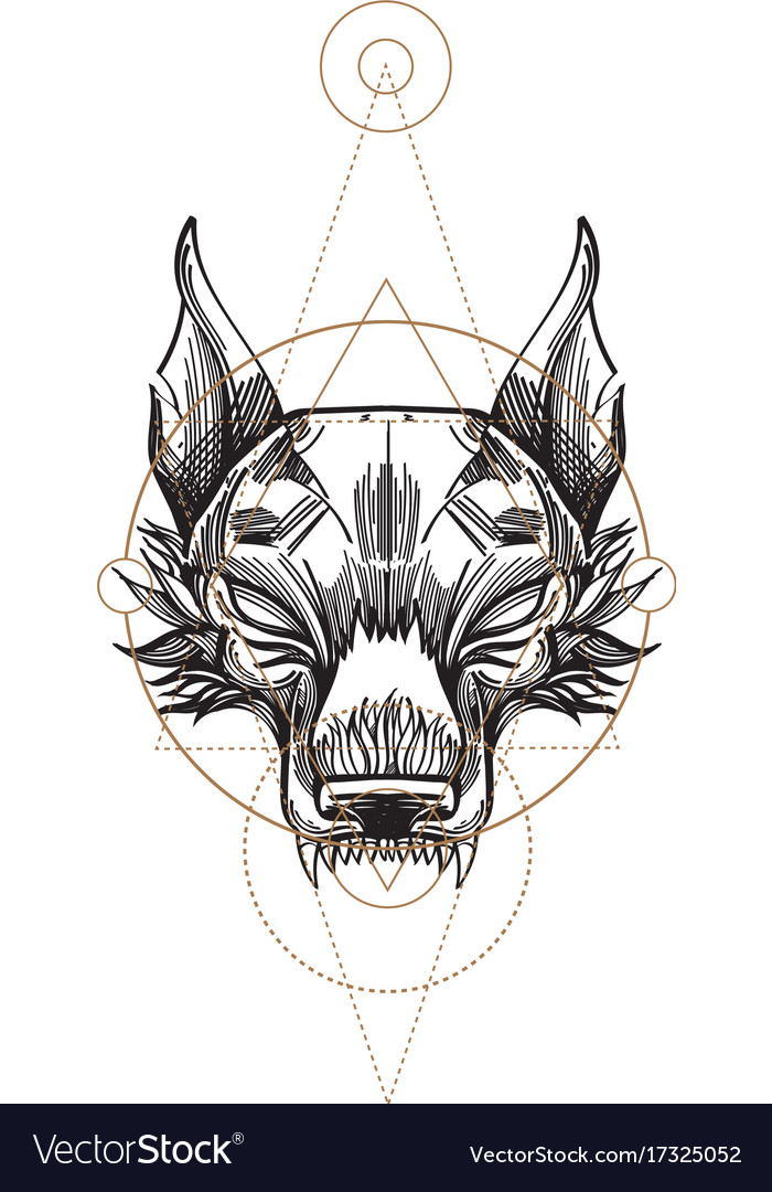 Muzzle of a wolf is an for creating sketches