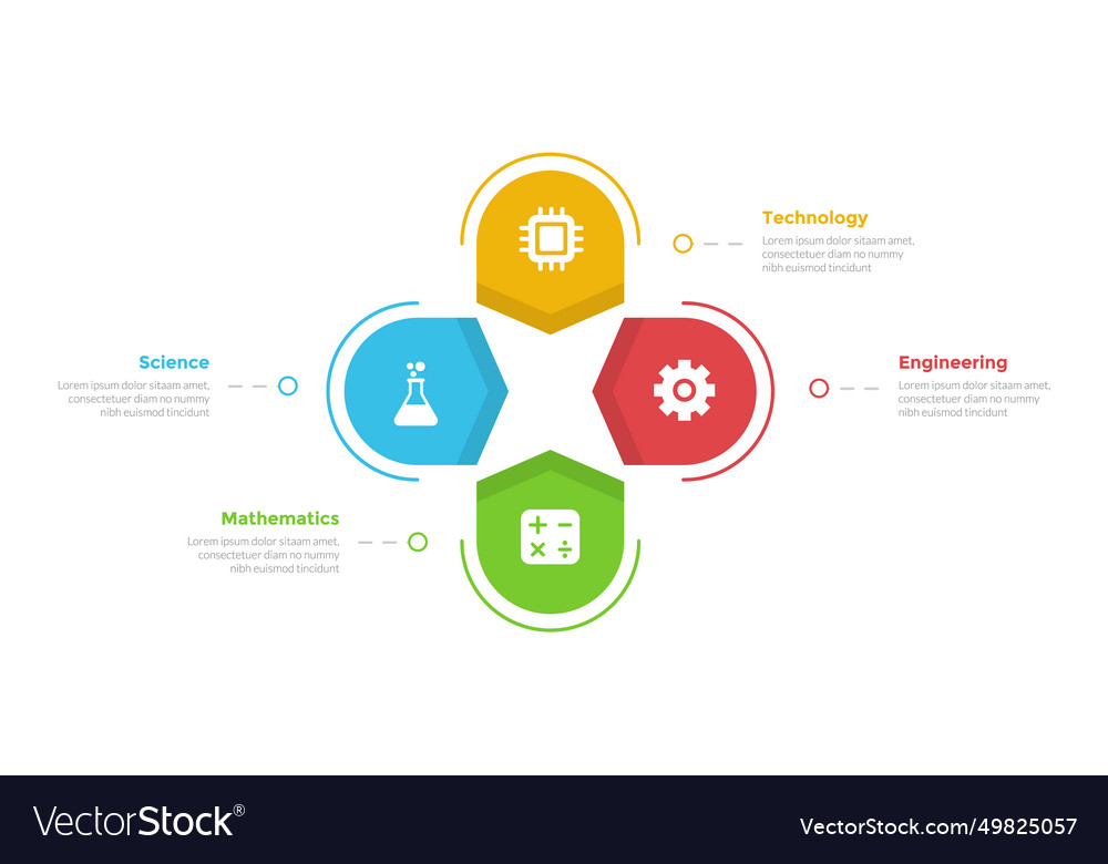 Stem Education Infographics Template Diagram Vector Image