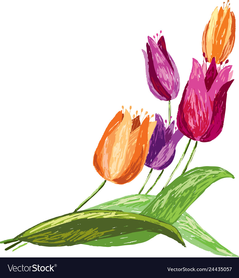 Tulips sketch Royalty Free Vector Image VectorStock