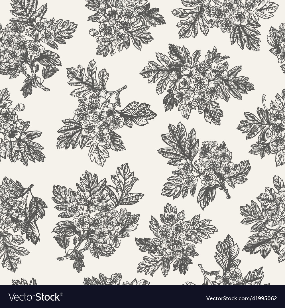 Seamless floral pattern hawthorn Royalty Free Vector Image