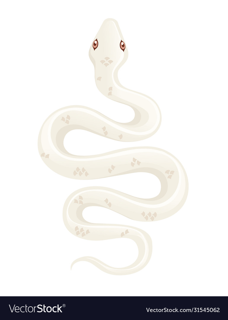 White albino snake cartoon animal design flat