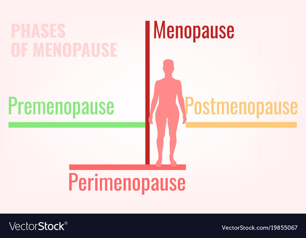 Stages Of Menopause Infographic Royalty Free Vector Image