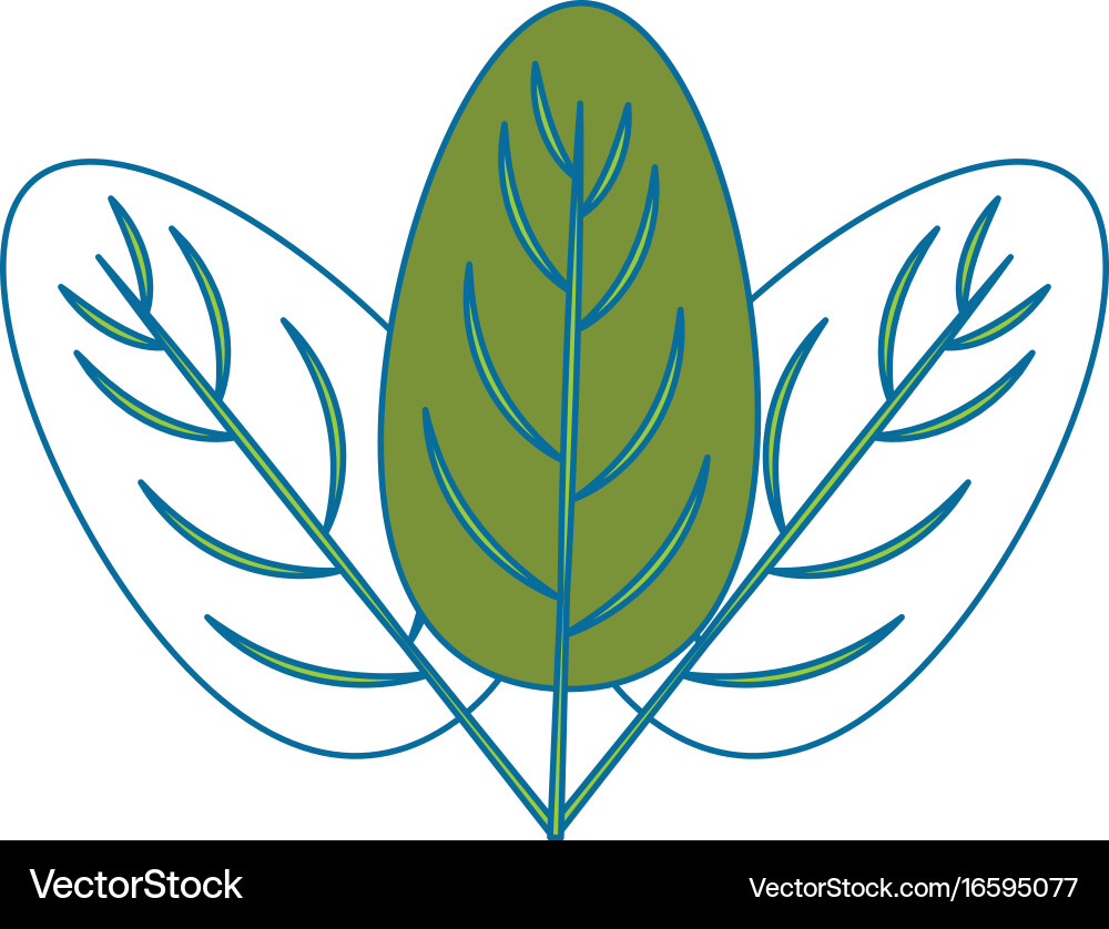 Spinach leaf icon Royalty Free Vector Image - VectorStock