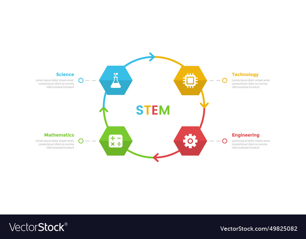 Stem education infographics template diagram with Vector Image