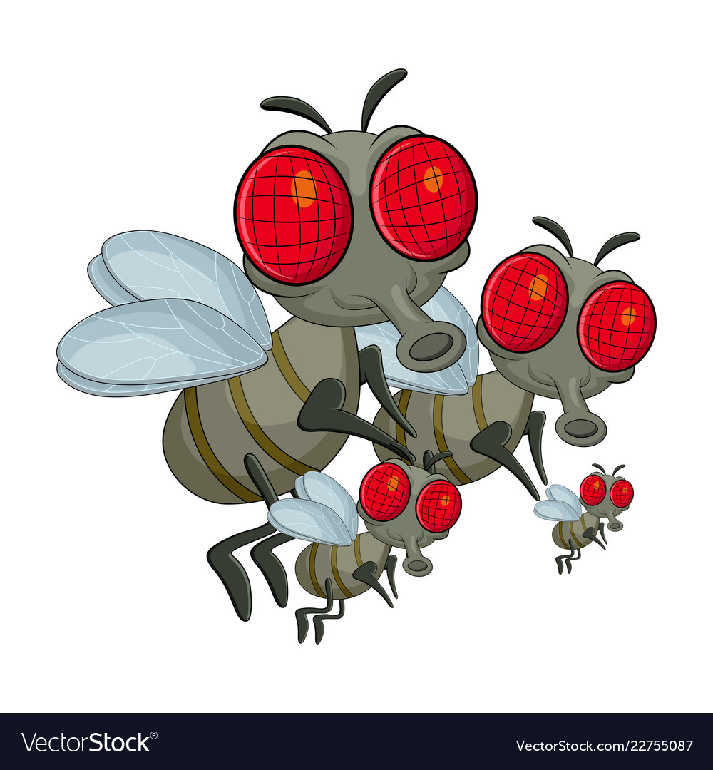 Fly family cartoon character design isolated Vector Image