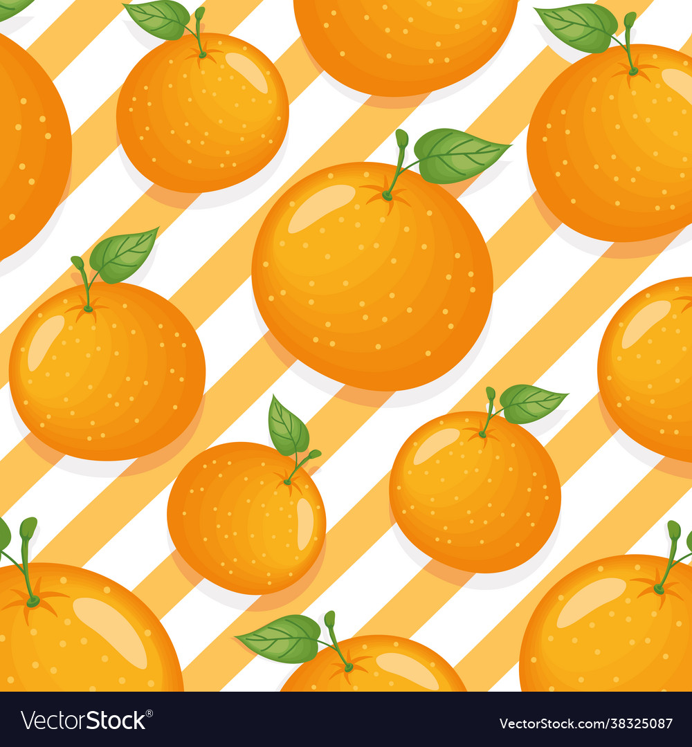 Oranges fruits background Royalty Free Vector Image