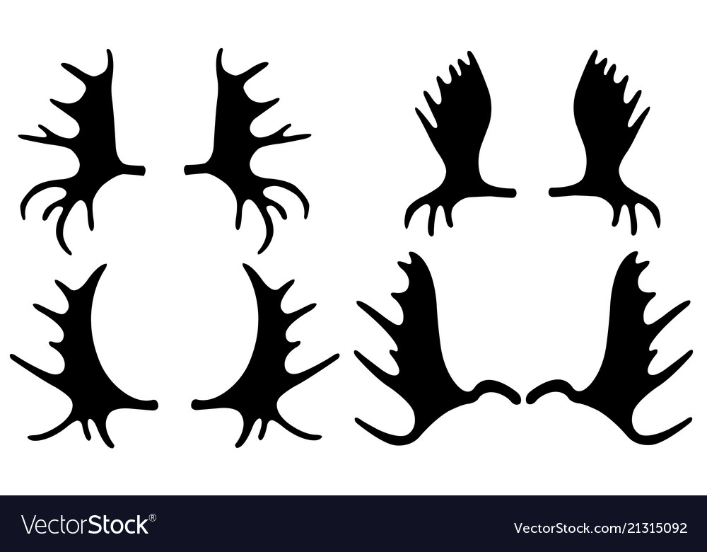 Set different moose antlers Royalty Free Vector Image