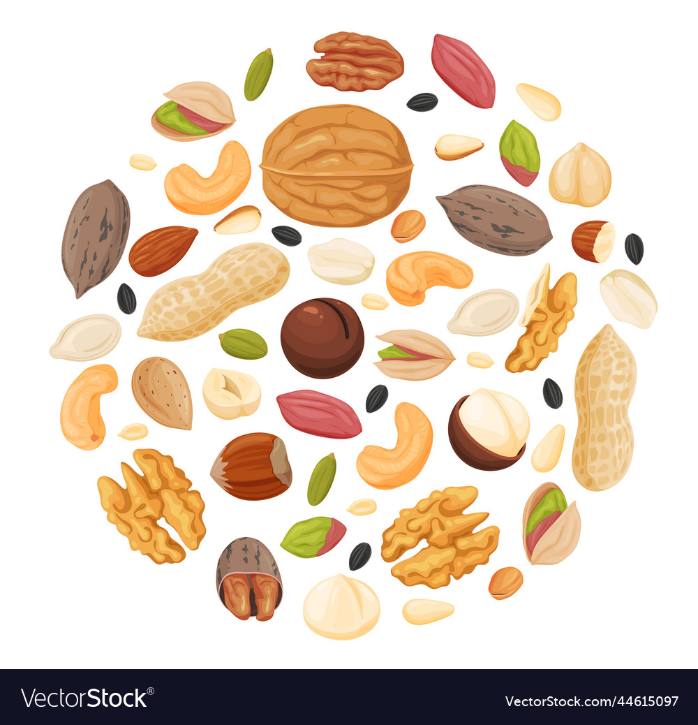 A set of different nuts and seeds healthy Vector Image