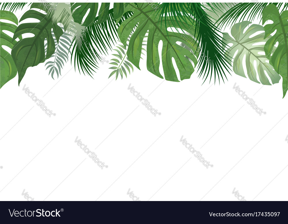 Floral seamless pattern tropical palm tree leaves