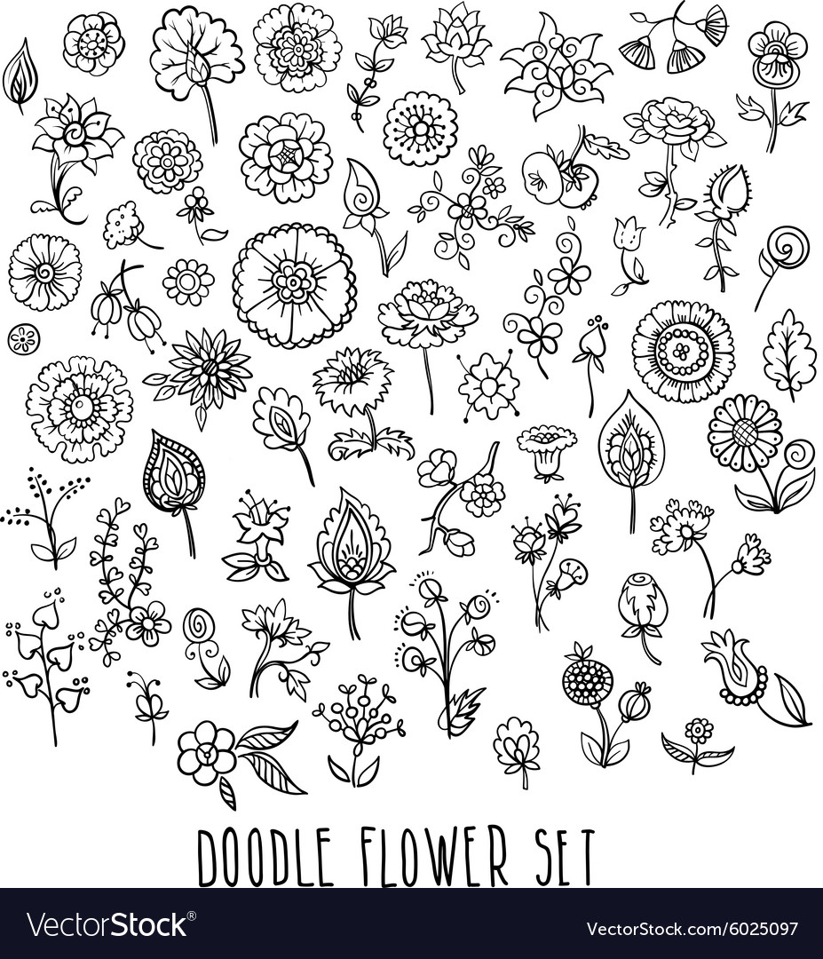 Hand drawn floral elements