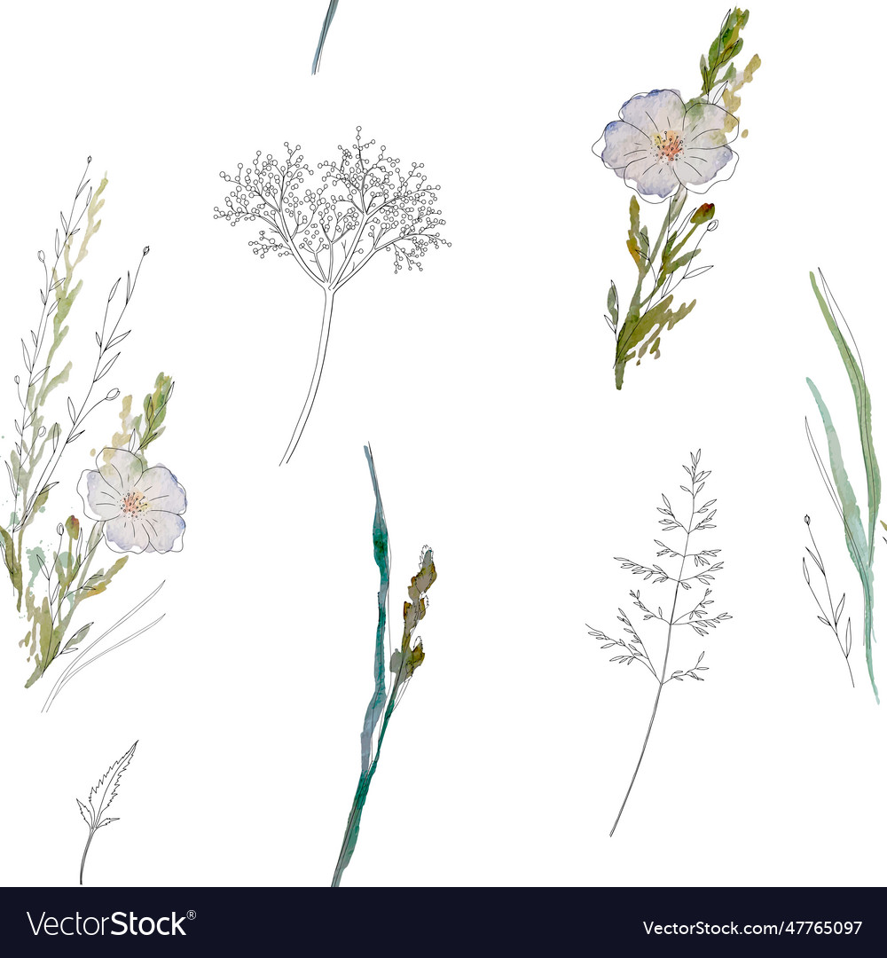 Seamless pattern field herbs and flowers 5