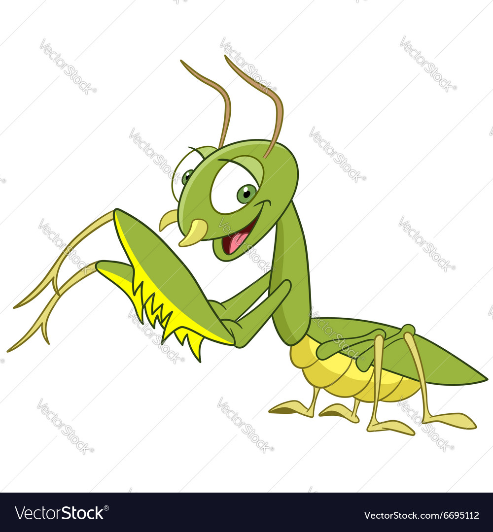 Cute cartoon mantis Royalty Free Vector Image - VectorStock