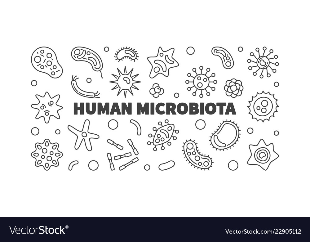 Human microbiota outline horizontal