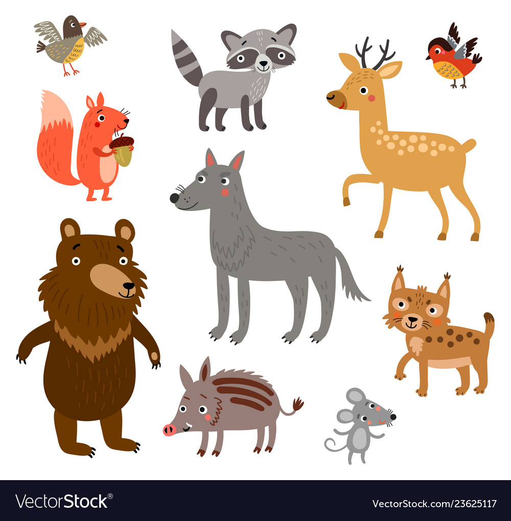 Forest animals set Royalty Free Vector Image - VectorStock