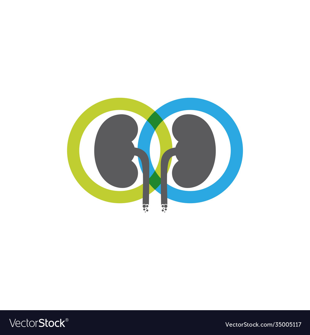 Kidney