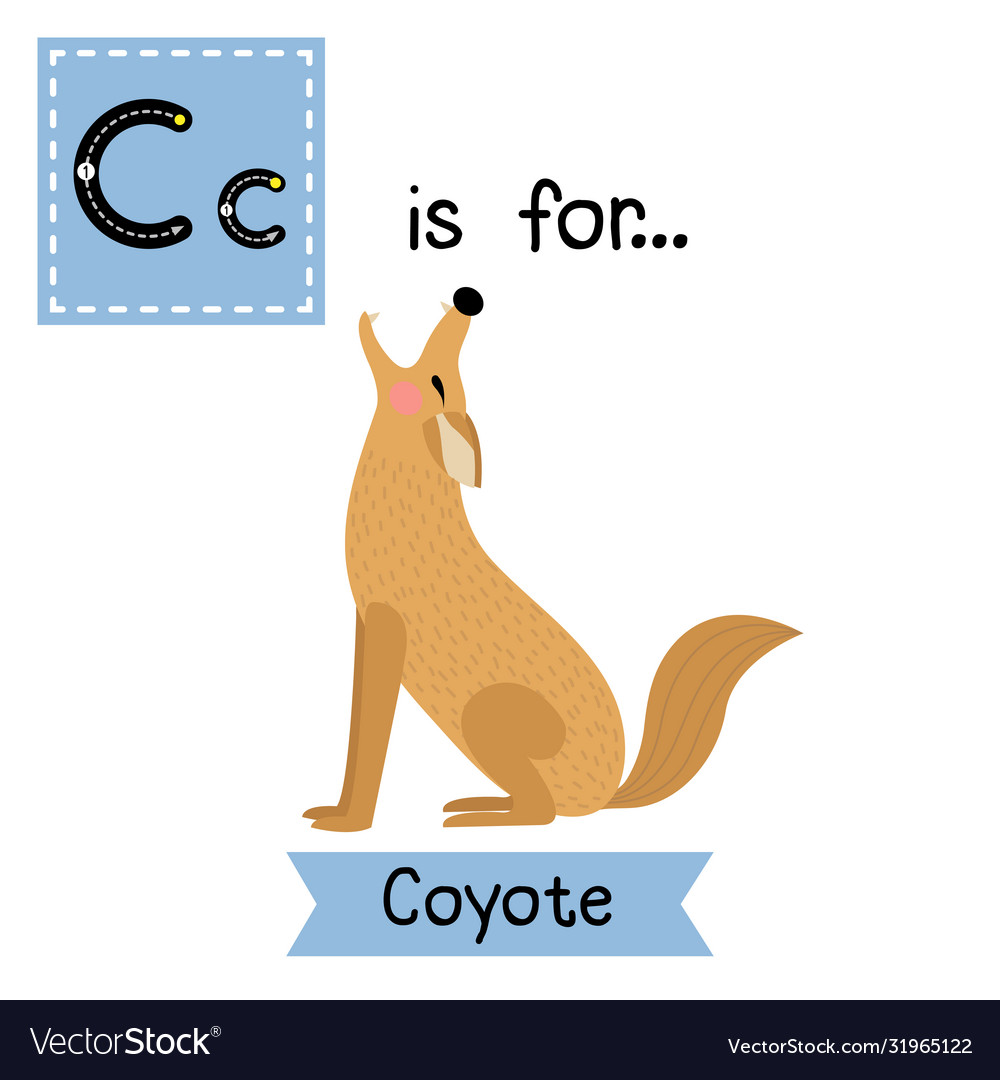 Letter c tracing howling coyote Royalty Free Vector Image