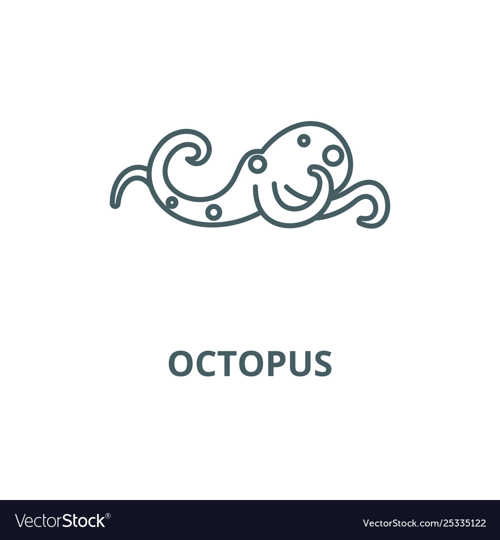 Octopus line icon linear concept outline