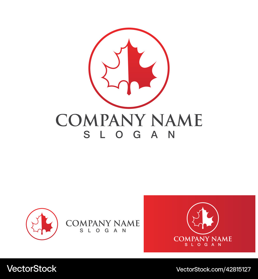 Maple leaf Royalty Free Vector Image - VectorStock