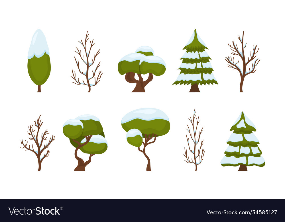 Winter snow trees Royalty Free Vector Image - VectorStock