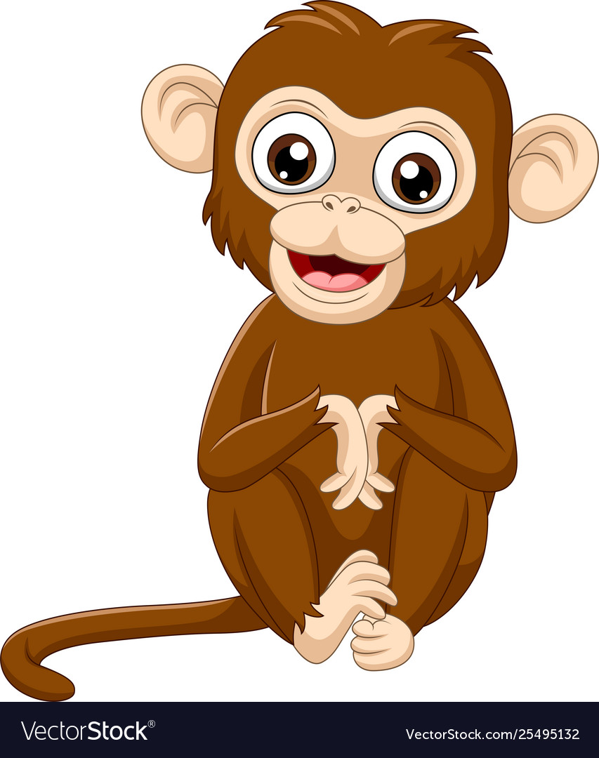 Cute bamonkey sitting on white background Vector Image