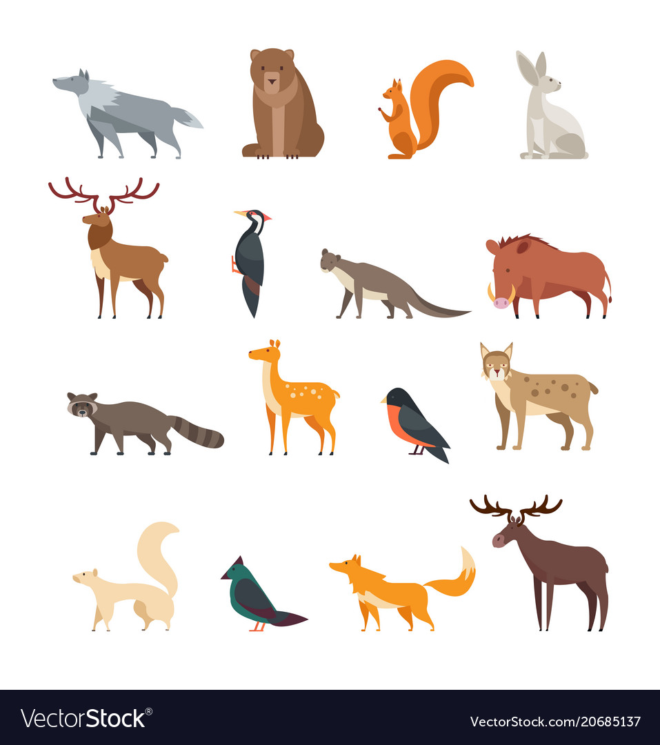 Forest wild animals and birds cartoon set Vector Image Forest wild animals and birds cartoon set Vector Image