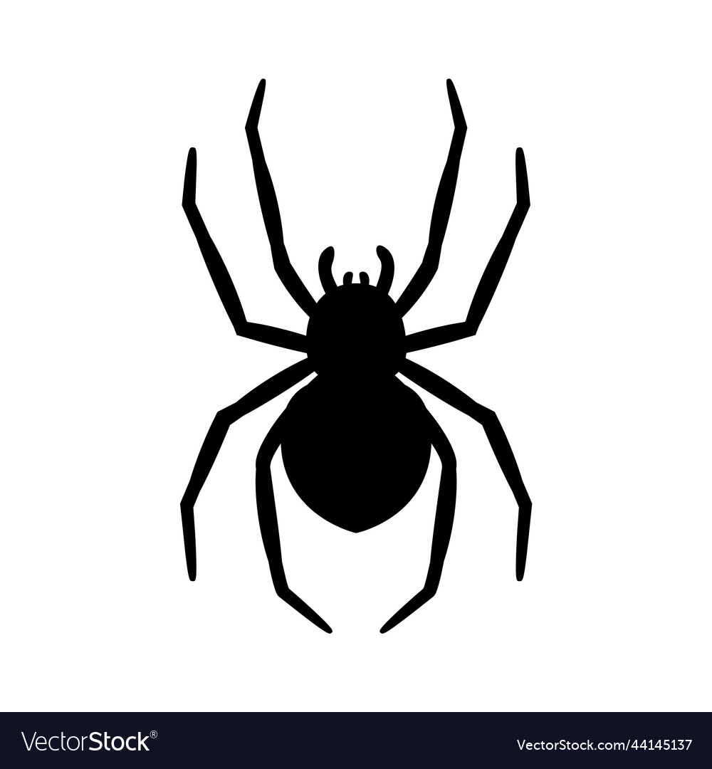 Silhouette of a spider hanging from web Royalty Free Vector