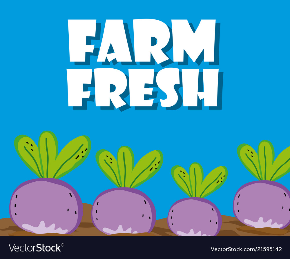 Farm fresh cartoons