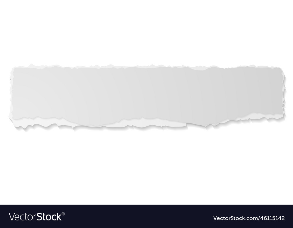 Grey ripped paper edge banner Royalty Free Vector Image