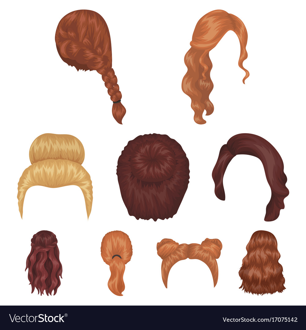 Quads blond braids and other types of hairstyles Vector Image