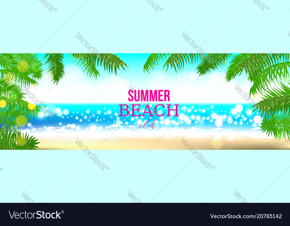 Summer time club seashore palm landscape