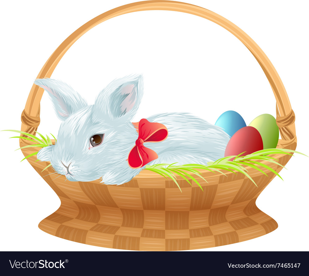 Easter bunny in wicker basket cute