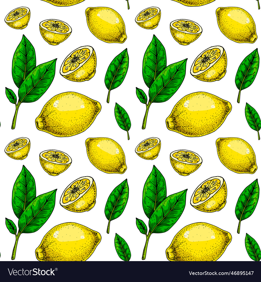 Zitrone nahtlose Muster bunte Hand gezeichnet vector image Zitrone nahtlose Muster bunte Hand gezeichnet