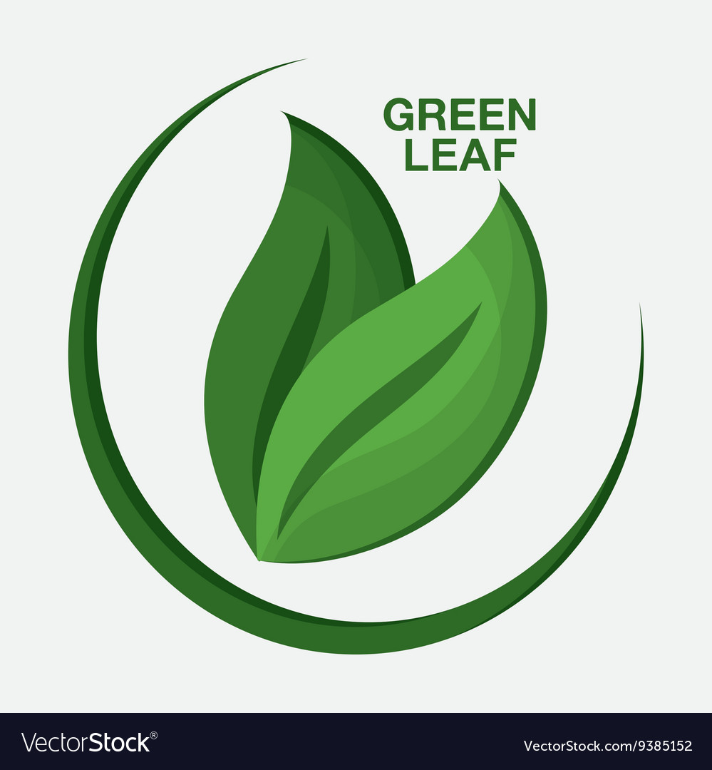 Green design leaf icon white background graphic Vector Image