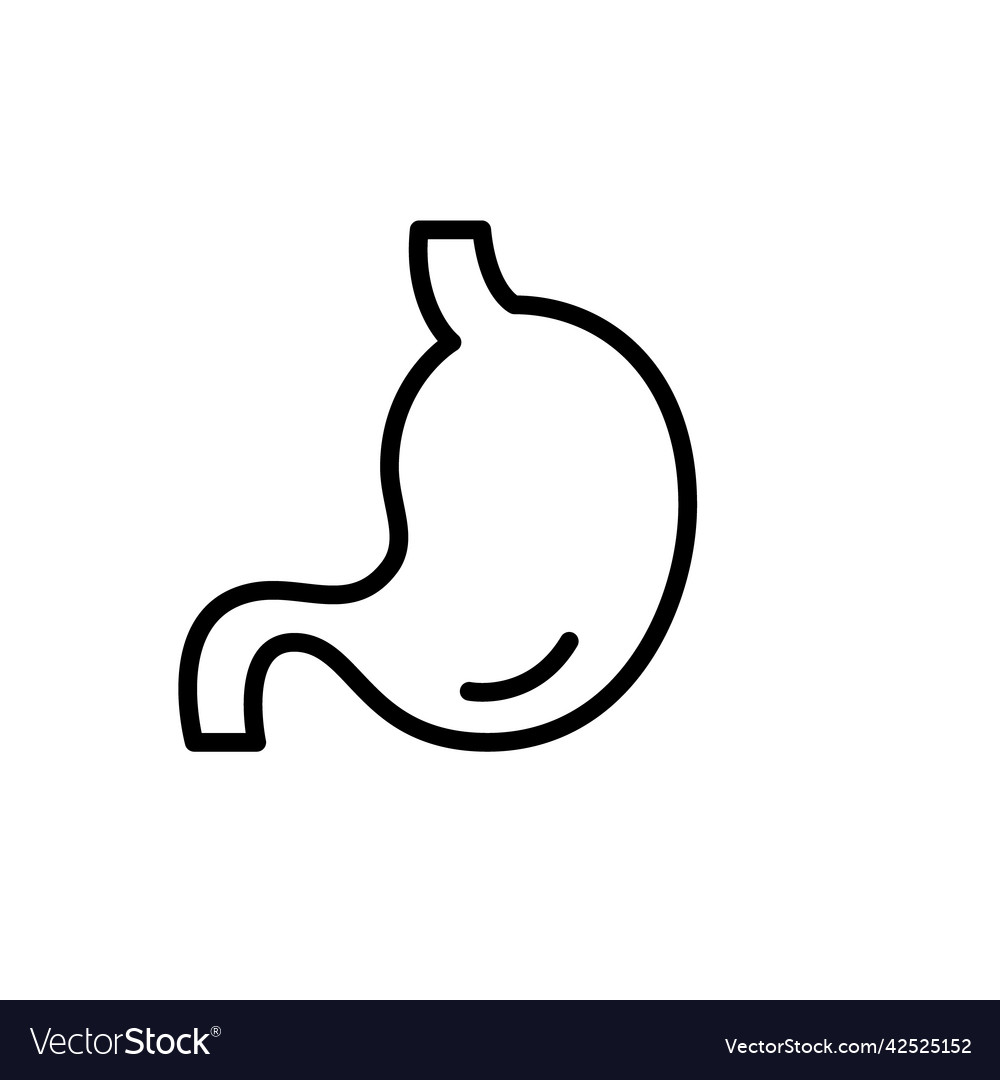 Human stomach icon organ anatomy and healthcare