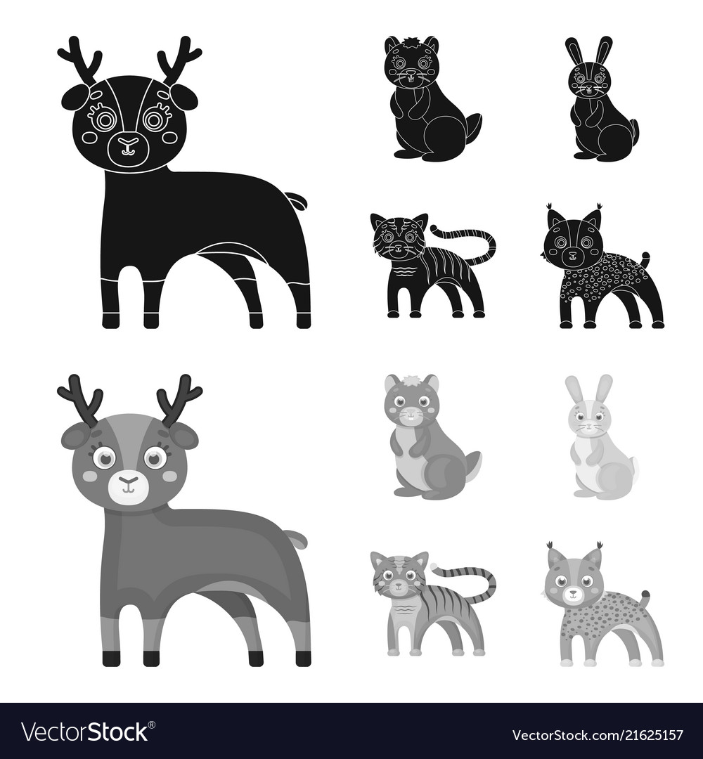 Animals domestic wild and other web icon