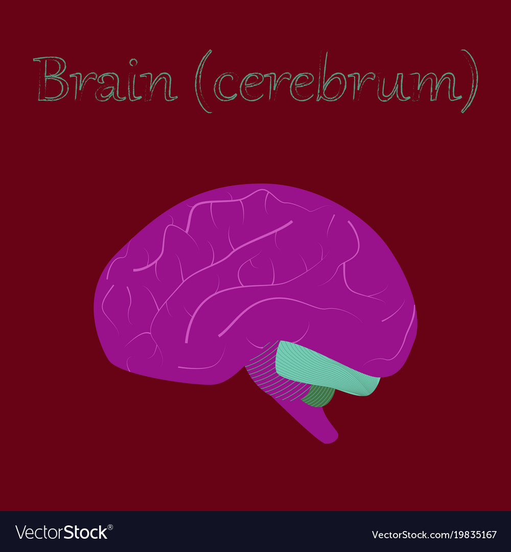 Brain текст